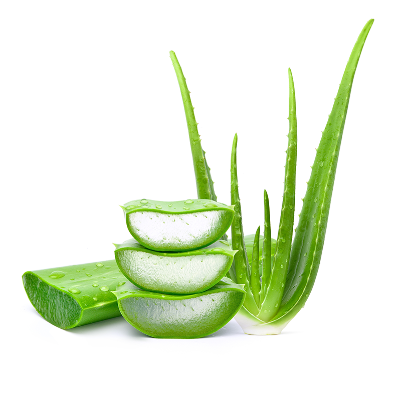 Aloe.png