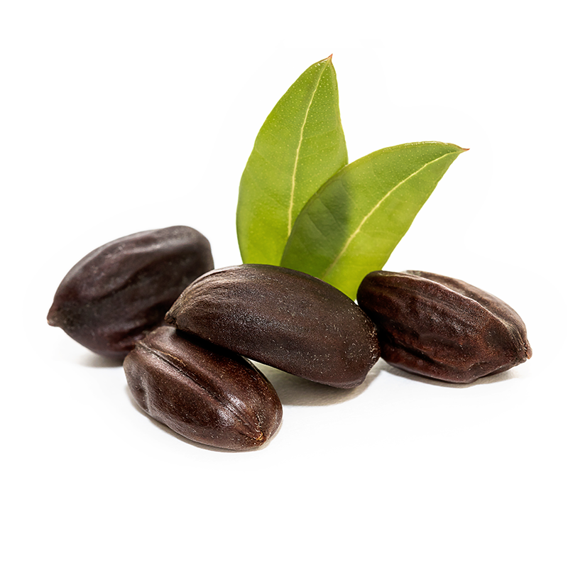 Jojoba.png