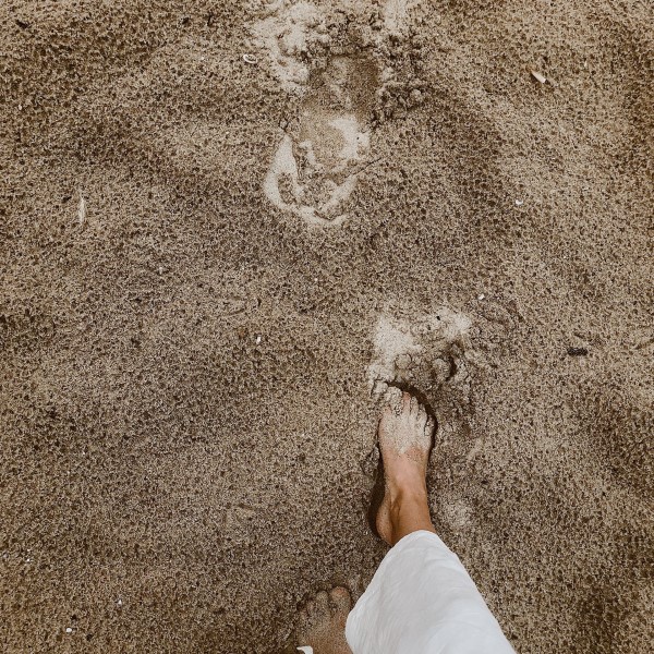 Sust_webb_beach_footprint_1080x1350.jpg